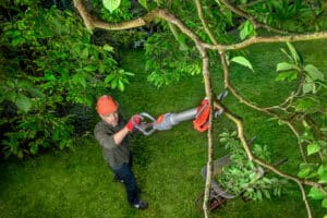 Foto: djd/WOLF-Garten